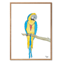 Load image into Gallery viewer, Peppelin the Parrot&lt;br&gt;Several variants&lt;br&gt;&lt;i&gt;With&lt;/i&gt; and &lt;i&gt;without&lt;/i&gt; word

