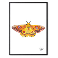 Load image into Gallery viewer, The Moth - Numbered
